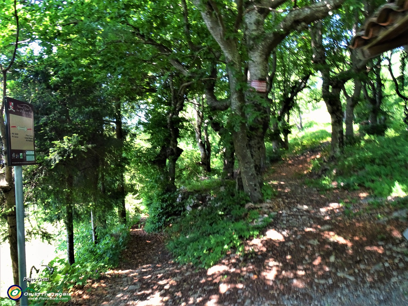 50 Rientrato al Passo di Crosnello (1113 m) prendo a dx il Sentiero dei 4 roccoli.JPG